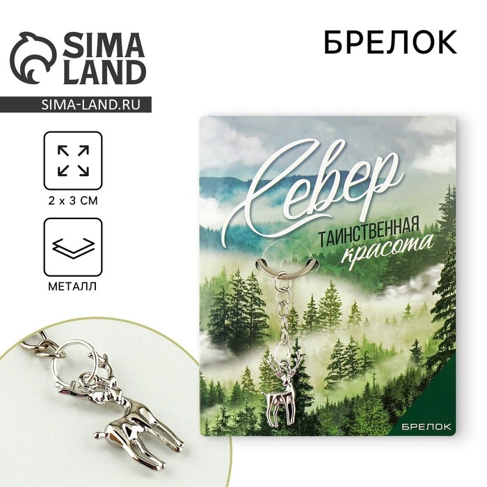 Брелок для ключей Брелок для ключей "Север"