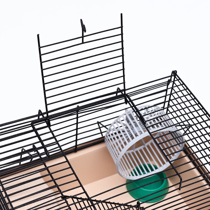 Клетка-мини для грызунов Клетка-мини для грызунов "Пижон" №2, укомплектованная, 27 х 15 х 16 см, бежевая