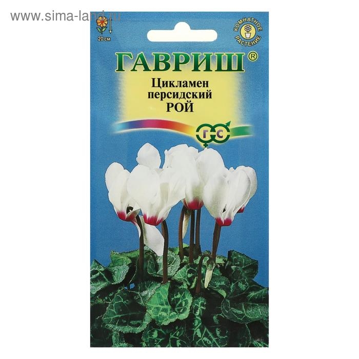 Семена цветов Цикламен  Семена цветов Цикламен "Рой", персидский, 3 шт.