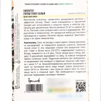 Семена цветов Гипоэстес &laquo;Сплэш Селект Белый&raquo;, 4 шт. &laquo;Григорьев&raquo;