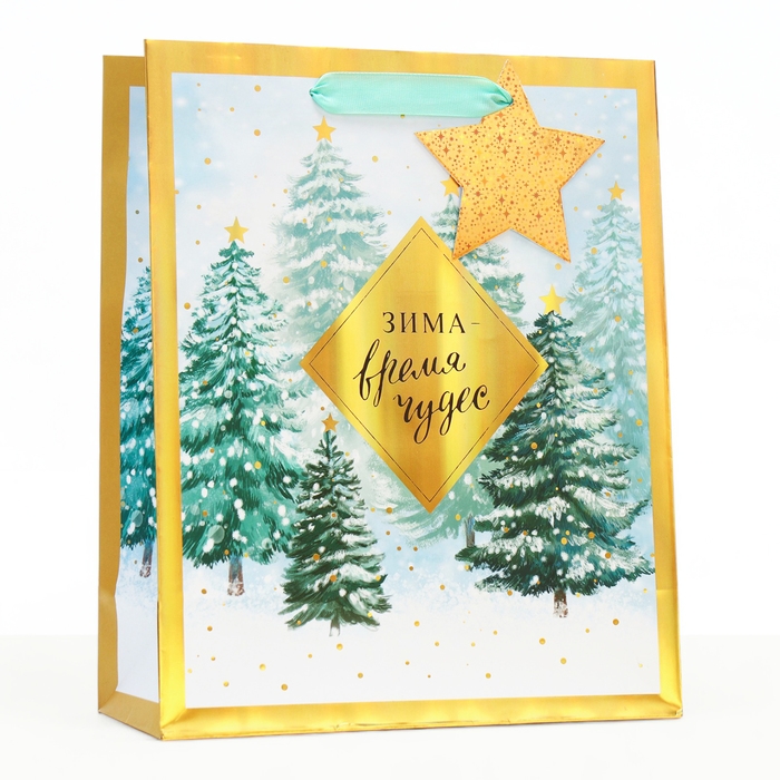 Новый год. Пакет подарочный Новый год. Пакет подарочный "Зима - время чудес", 26 х 32 х 12 см.