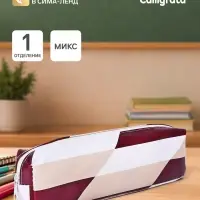 Пенал школьный Calligrata &laquo;Тренд&raquo;, на молнии, 1 отделение, с принтом, МИКС