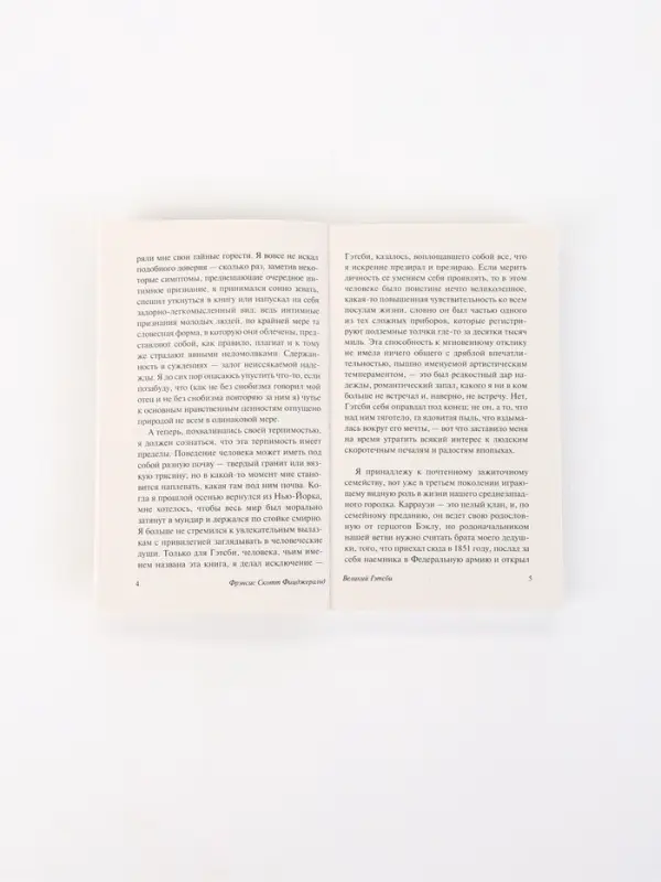Книга &laquo;Великий Гэтсби&raquo;, Фрэнсис Скотт Фицджеральд