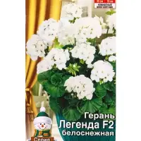 Семена цветов Герань Легенда F2 белоснежная Мн Зимний сад, Ц/П,5 шт. Семена цветов Герань Легенда F2 белоснежная Мн Зимний сад, Ц/П,5 шт.