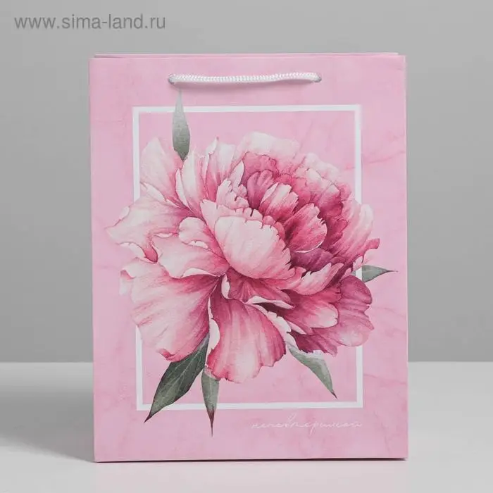 Пакет подарочный ламинированный, упаковка, «Пион», MS 18 х 23 х 8 см