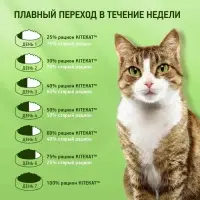 Сухой корм Whiskas для кошек, Телятинка аппетитная, 1.3 кг Сухой корм Whiskas для кошек, Телятинка аппетитная, 1.3 кг