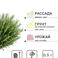 Семена Розмарин &laquo;Ароматный&raquo;, 0.03 г, &laquo;Семена Алтая&raquo;
