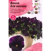 Семена цветов Виола для вазона &laquo;Кул Вейв Пурпл&raquo; F1, 5 шт.