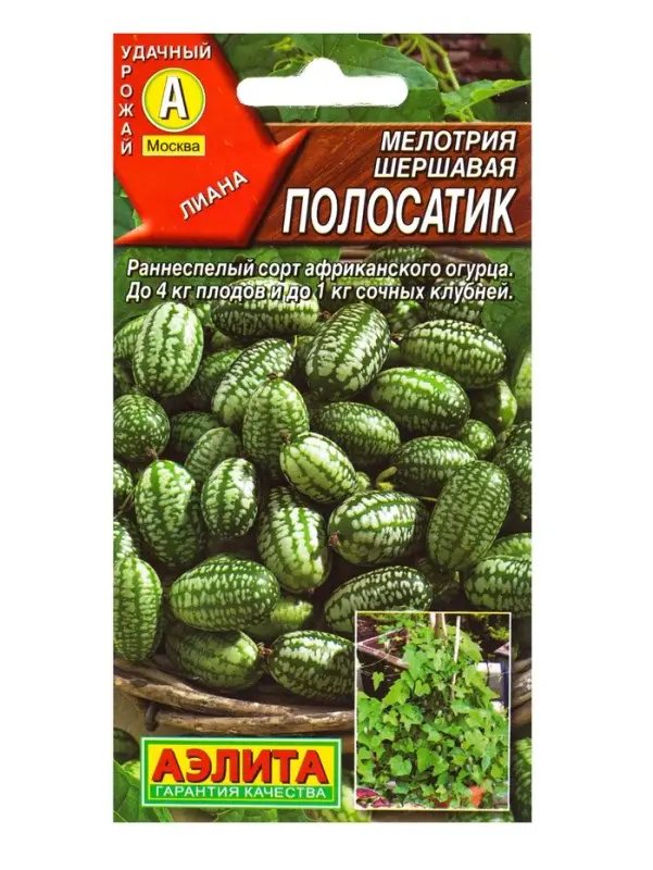 Семена Мелотрия шершавая &laquo;Полосатик&raquo;, &laquo;Мой выбор&raquo;