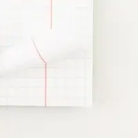 Тетрадь в клетку, предметная, 48 л.,на скрепке, А5 &laquo;МИЛЫЕ ПИТОМЦЫ. Алгебра&raquo;