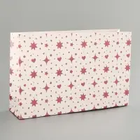 Пакет ламинированный &laquo;Подарок&raquo;, 22.3&times;9&times;35 см