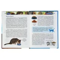 Детская энциклопедия &laquo;Кошки&raquo;