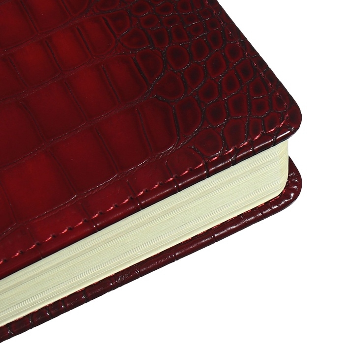 Ежедневник датированный 2024 A5 176 листов, deVENTE.Belcanto, твёрдая обложка из искусственной кожи с поролоном, ляссе, кремовый блок 70 г/м2, бордовый