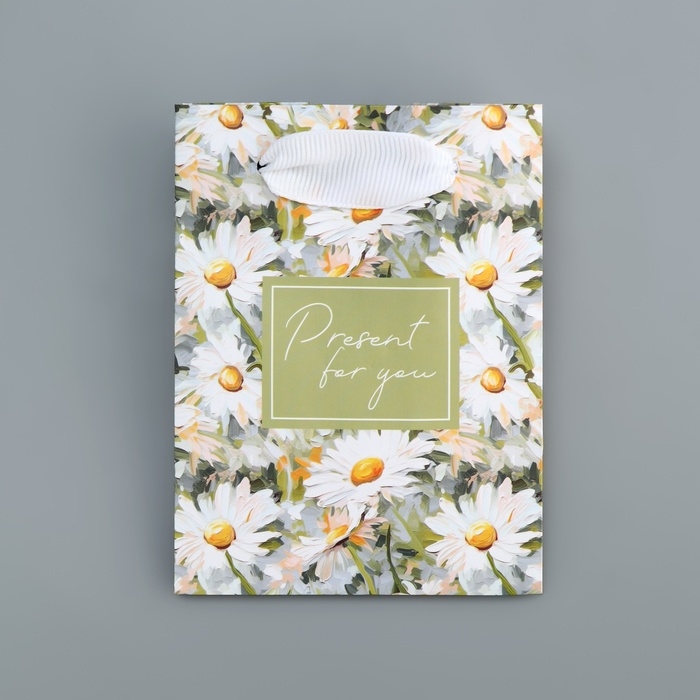 Пакет подарочный ламинированный, упаковка, Present, 9 х 12 х 6.5 см Пакет подарочный ламинированный, упаковка, Present, 9 х 12 х 6.5 см