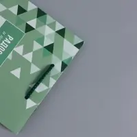 Пакет подарочный ламинированный &laquo;Радости и позитива&raquo;, зелёный, 18&times;22.3&times;10 см