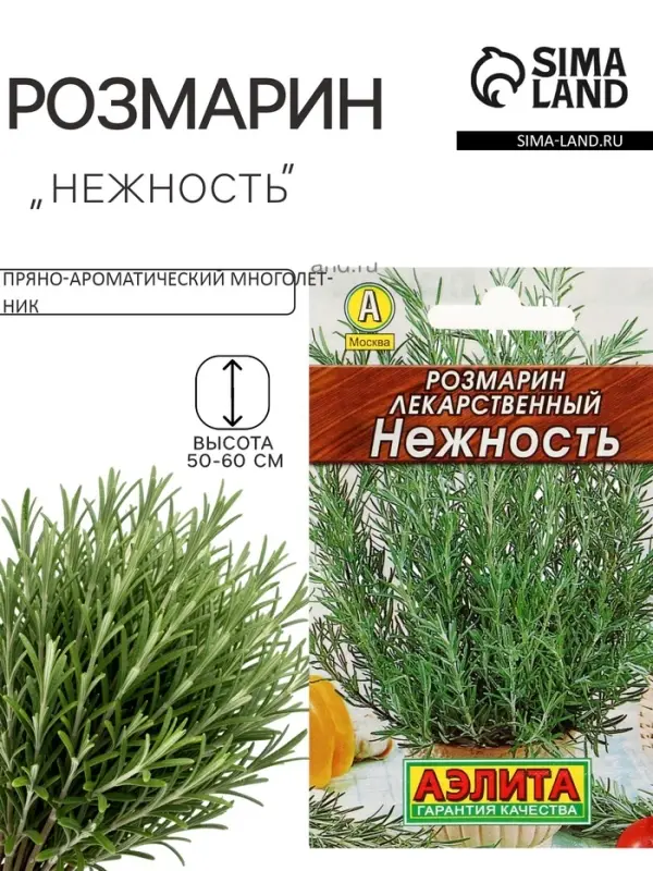 Семена Розмарин &laquo;Нежность&raquo;, 0.03 г, &laquo;Аэлита&raquo;