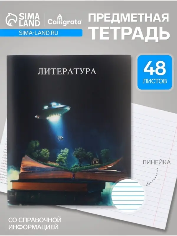 Предметная тетрадь по литературе Calligrata TOP &laquo;Школьный стиль&raquo;, 48 листов, в линейку, со справочным материалом, пластиковая обложка