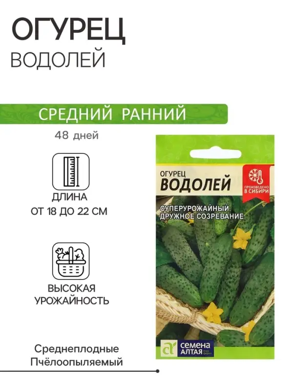 Семена Огурец Семена Огурец "Водолей", 0,3 гр.