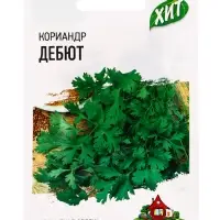 Семена Кориандр &laquo;Дебют&raquo;, 2 г, &laquo;Удачные семена&raquo;