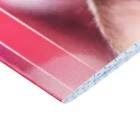 Набор блокнотов А6 40л кл на скобе Котята и щенята, мел карт, 4В 20шт