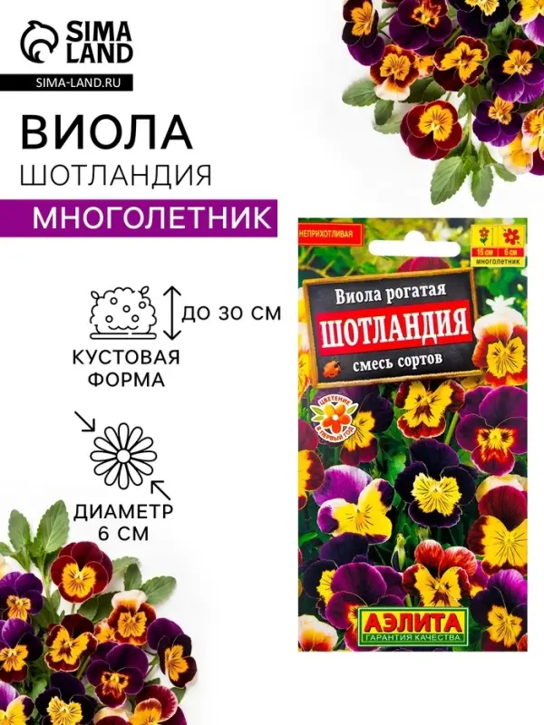 Семена цветов Виола "Шотландия", 0,1 г