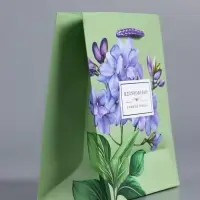 Пакет подарочный ламинированный &laquo;Вдохновение&raquo;, травяной, 11.5&times;14.5&times;6.5 см