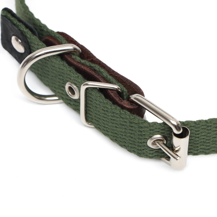 Ошейник брезентовый однослойный, 52 х 2 см, ОШ 25-45 см, тёмно-зелёный Ошейник брезентовый однослойный, 52 х 2 см, ОШ 25-45 см, тёмно-зелёный