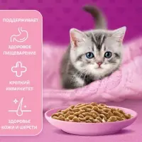 Влажный корм Whiskas для котят, рагу курица, 75 г