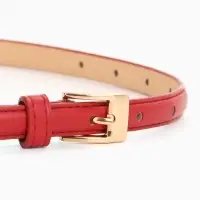 Ремень женский тонкий, 110&times;1.3 см, классическая пряжка металл, золотистая, красный