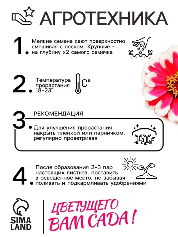 Семена цветов Цинния &laquo;Лилипут&raquo; смесь, 0.2 г, &laquo;Рецепты дедушки Никиты&raquo;