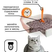 Наполнитель минеральный впитывающий &laquo;Пижон&raquo; для короткошерстных кошек, 5 л