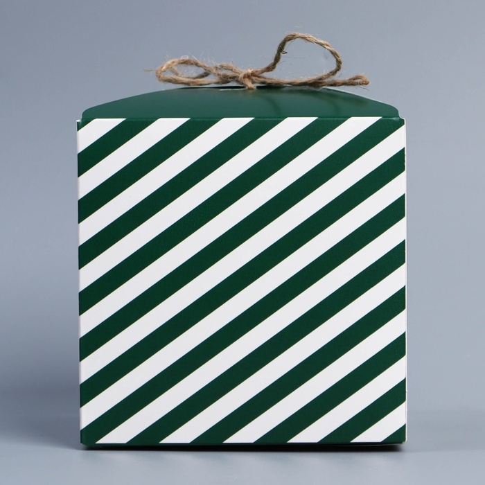 Коробка подарочная складная, упаковка, «С 23 февраля», 12 х 12 х 12 см