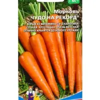 Семена Морковь &laquo;Чудо на рекорд&raquo; 2 г