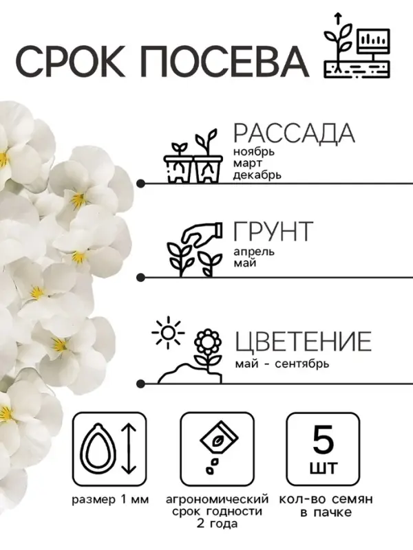 Семена Виола "Белый бархат", ц/п,  F1, 5 шт.