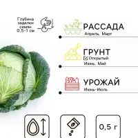 Семена Капуста белокочанная &laquo;Июньская&raquo;, 0.5 г, &laquo;Аэлита&raquo;