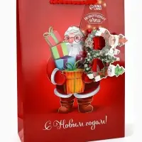 Пакет подарочный новогодний &laquo;С Новым годом&raquo;, с очками, 31&times;11&times;40 см