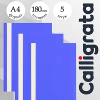Набор папок-скоросшивателей А4, 5 штук, Calligrata, 180 мкм, с прозрачным верхом, синий
