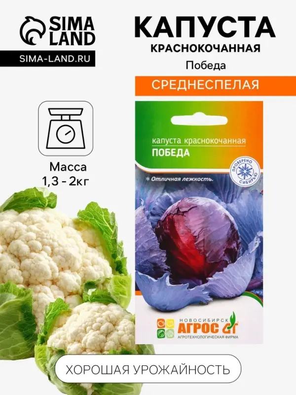 Семена Капуста &laquo;Победа&raquo; 0.3 г, &laquo;Агросс&raquo;