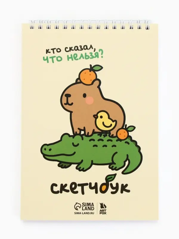 Скетчбук А5, 40 л. 100 г/м&sup2; &laquo;Кто сказал, что нельзя?&raquo;
