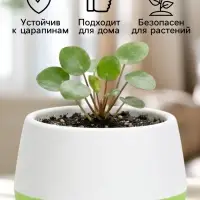 Горшок цветочный &laquo;Япония&raquo;, 125 мл, d=8 см, h=6.5 см, пластиковый, с поддоном, бело-фисташковый