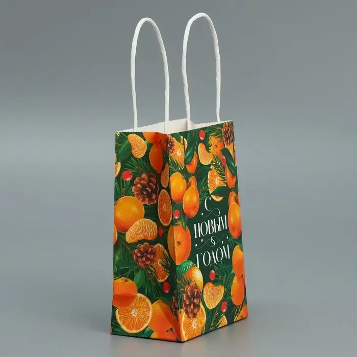 Пакет подарочный новогодний крафтовый «Мандариновое настроение», 15 х 10 х 6 см Пакет подарочный новогодний крафтовый «Мандариновое настроение», 15 х 10 х 6 см