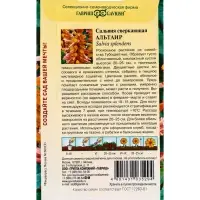 Семена цветов Сальвия Альтаир*, карликовая 4 шт.