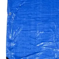 Тент защитный, 8&times;6 м, плотность 60 г/м&sup2;, люверсы шаг 1 м, тарпаулин, УФ, МИКС