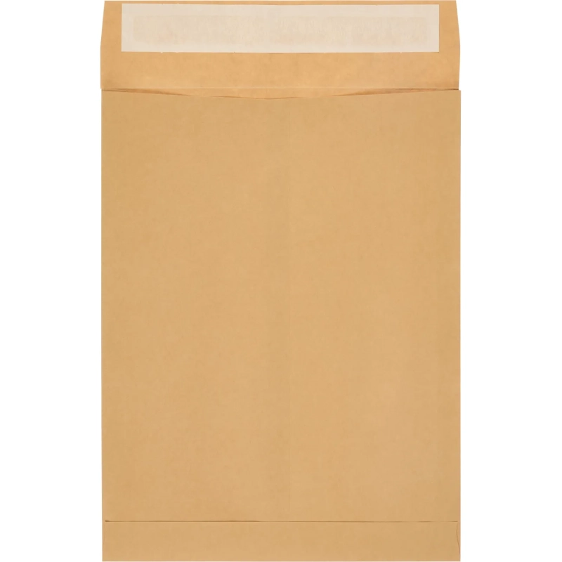 Пакет крафт E4 стрип Extrapack 300х400х40 120г 250шт/уп/6586