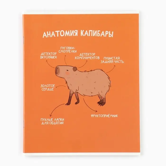 Тетрадь в клетку, 36 л., А5, на скрепке, блок №1 &laquo;Капибара&raquo; МИКС