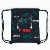 Мешок для обуви, T-REX, (текстиль) 41×34 см