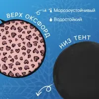 Ледянка Winter Star &laquo;Лео&raquo;, d=45 см, толщина 1 см
