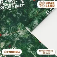 Бумага упаковочная новогодняя глянцевая «Еловые ветки», 50×70 см