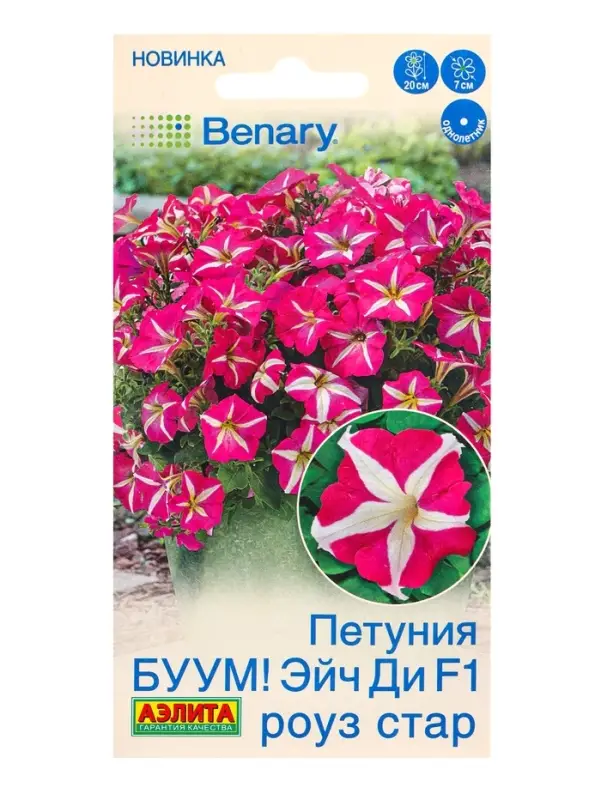 Семена цветов Петуния БУУМ! Эйч Ди F1 Роуз Стар многоцветковая (драже) Benary, Ц/П,7 шт. Семена цветов Петуния БУУМ! Эйч Ди F1 Роуз Стар многоцветковая (драже) Benary, Ц/П,7 шт.