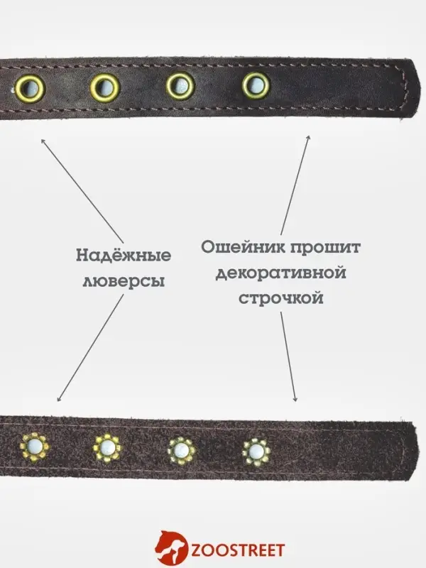 Ошейник безразмерный, 40&times;2 см, с подпряжником, кожа, коричневый